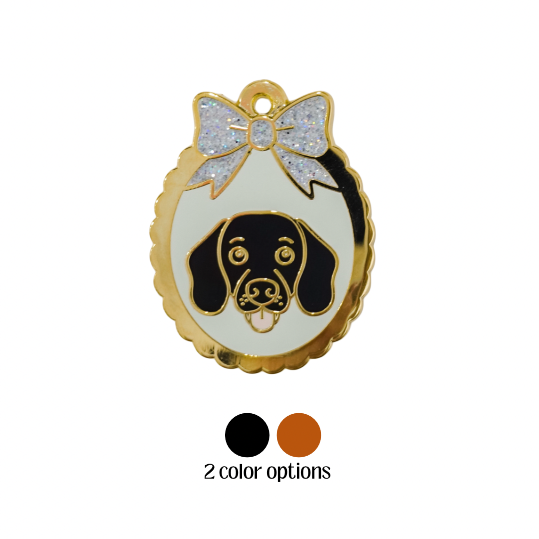 Short Hair Dachshund