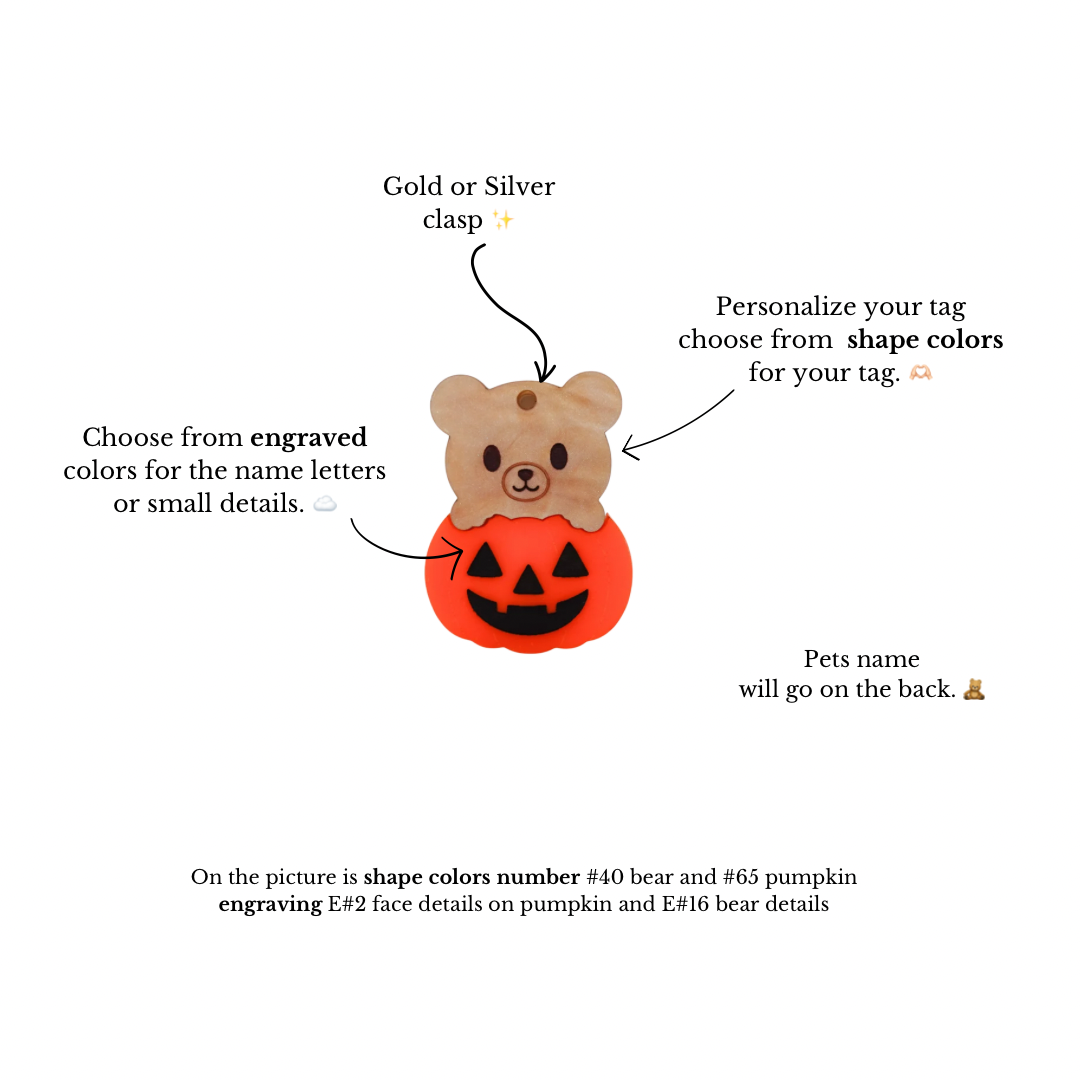 Pumpkin teddy