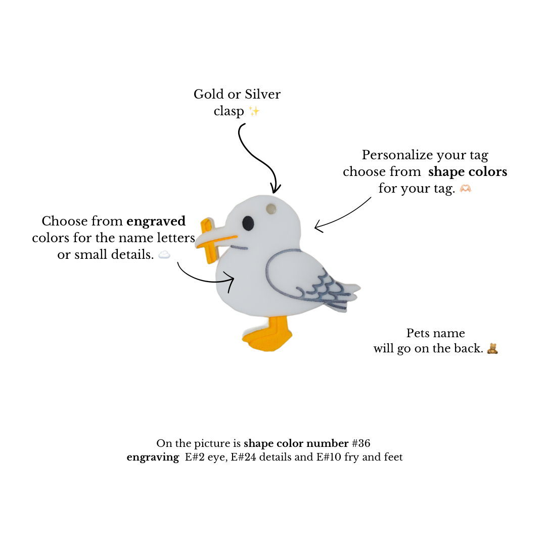 Seagull